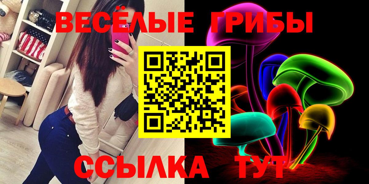 Галлюциногенные грибы Cubensis Мариинск